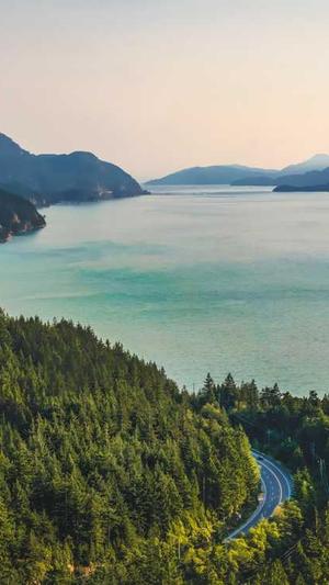 黑料不打烊万篇长征so截图2